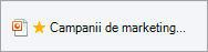 Fișier afișând steaua care îl marchează ca blocat