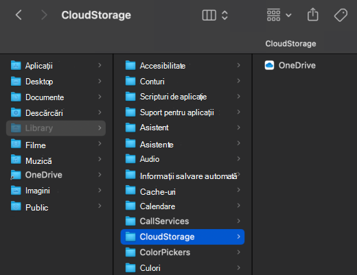 Captură de ecran cu Finder macOS afișând locația OneDrive