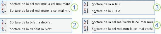 Opțiuni de sortare