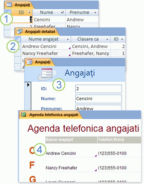 Date din tabele utilizate într-o interogare, într-un formular și într-un raport