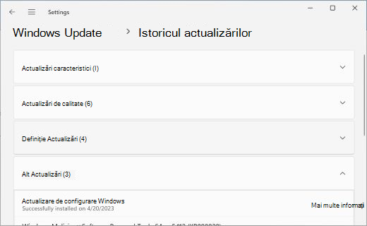 Afișează pagina Istoric actualizări, cu secțiunea Altele Updates extinsă.