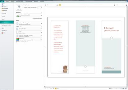 Prezentarea generală a setărilor de imprimare Publisher