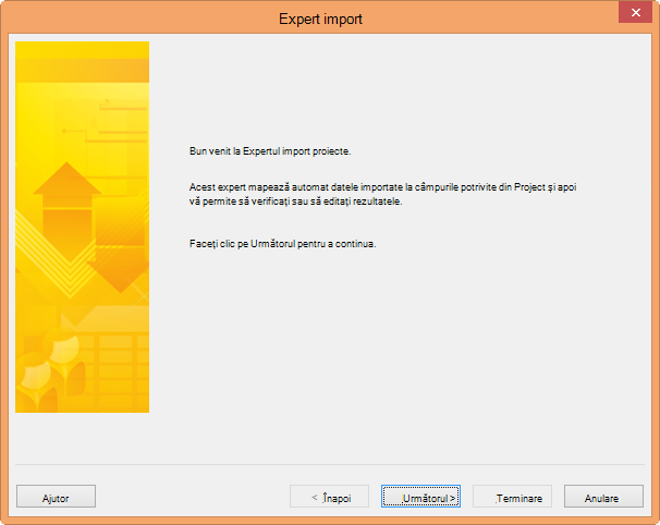Expertul de import proiecte