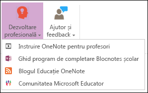 Captură de ecran cu butoanele disponibile în fila dezvoltare profesională