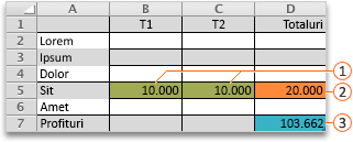 Example Solver evaluation