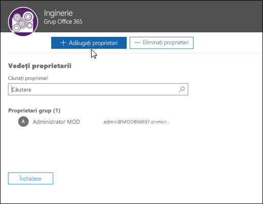 Vizualizarea și gestionarea proprietarilor de grup în caseta de dialog Vizualizare proprietari