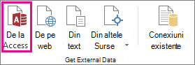Butonul Din Access din fila Date