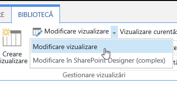 Fila Bibliotecă, având evidențiată opțiunea Modificare vizualizare