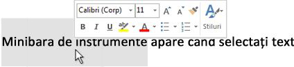 Minibara de instrumente cu text selectat