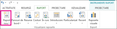 Butonul Raport nou de pe fila Raport