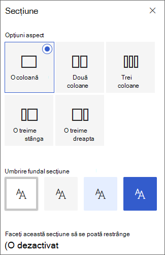 Captură de ecran a casetei de instrumente Secțiune.