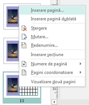 Pentru a insera o pagină, faceți clic dreapta pe o pagină, în panoul Navigare în pagini.