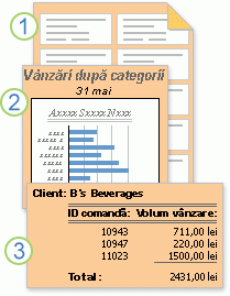 Rapoarte care prezintă date formatate sau calculate