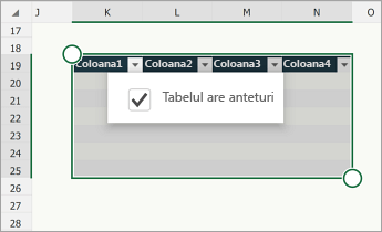 Tabel, cu caseta de selectare Tabelul are anteturi bifată.