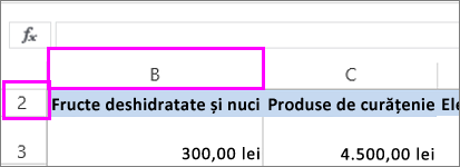 Prima coloană sau primul rând ascunse