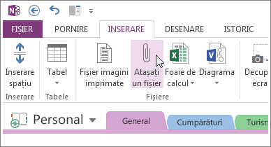 Inserați o atașare fișier pentru a avea o copie a fișierelor din OneNote