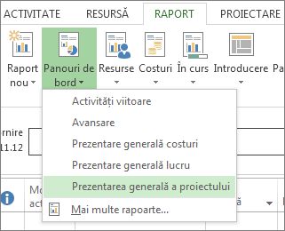 Meniul Tablou de bord din fila Raport.