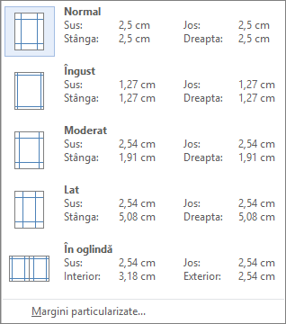 Din fila Aspect, se afișează opțiunile pentru margini,