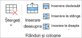 Opțiuni din grupul Rânduri și coloane