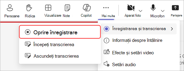 Captură de ecran care evidențiază cum să opriți înregistrarea în timpul unei săli de oraș