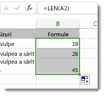 Introducerea mai multor funcții LEN într-o foaie de lucru