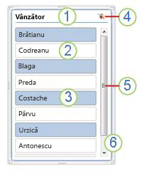 Elemente slicer PivotTable