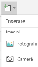 Selectați Inserare > Fotografii