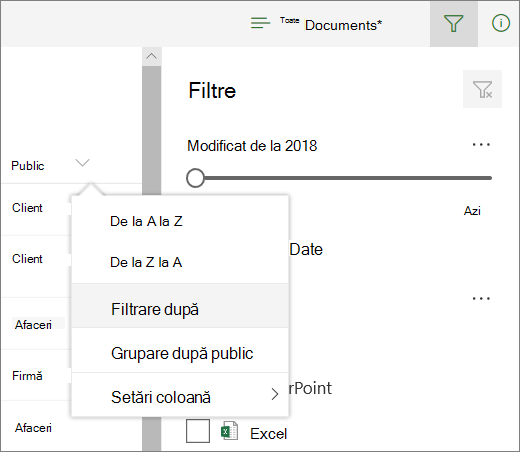 Faceți clic pe Filtrare după pentru a deschide panoul de filtrare