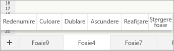 Selectorul de foaie selectat, afișând comanda Redenumire.