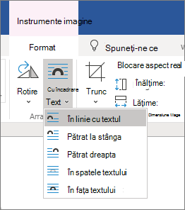 Încadrarea opțiunilor pentru text