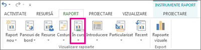 Butonul În desfășurare de pe fila Raport