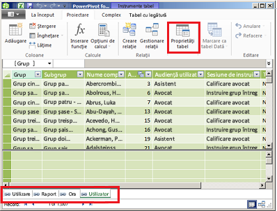 Fereastră cu file PowerPivot