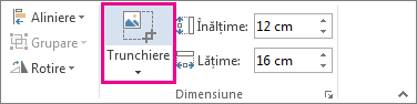 Comanda Trunchiere în fila Instrumente imagine - Format