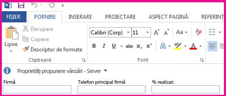 Panoul informații document afișează casete text într-un formular pentru a colecta metadate de la utilizatori.