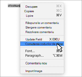 Comutarea codurilor de câmp în meniul contextual selectat