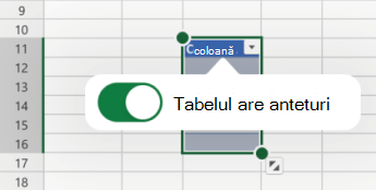 Opțiunea Tabel are anteturi selectată în Excel pentru iOS.