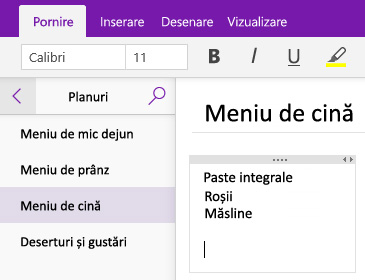 Captură de ecran cu un container de note pe o pagină din OneNote