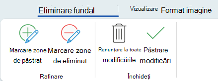 Opțiunile de eliminare a fundalului vă permit să marcați anumite zone ale unei imagini de păstrat sau de eliminat.