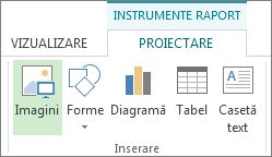 Fila Instrumente proiectare raport