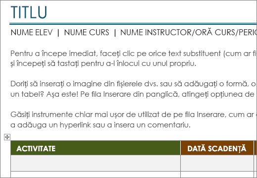 Șablonul Listă de activități Project nou, cu un font minim de 11 puncte.