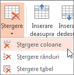 Ștergerea coloanelor sau a rândurilor