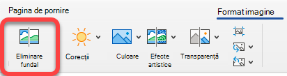 Opțiunea Eliminare imagine se află pe fila Format imagine din aplicațiile Office.