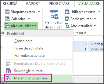 Mai multe vizualizări în meniul Alte vizualizări