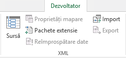 Comenzile XML din fila Dezvoltator