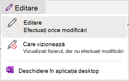 Captură de ecran a modului de editare în Blocnotes școlar OneNote.