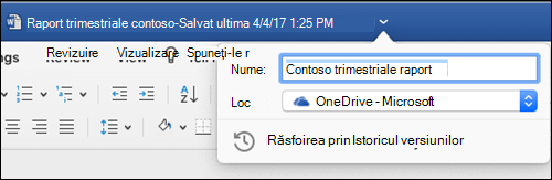 Caseta de dialog operațiuni cu fișiere lansată făcând clic pe bara de titlu a unui document Word.