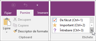 Captură de ecran cu lista de etichete din OneNote 2016.