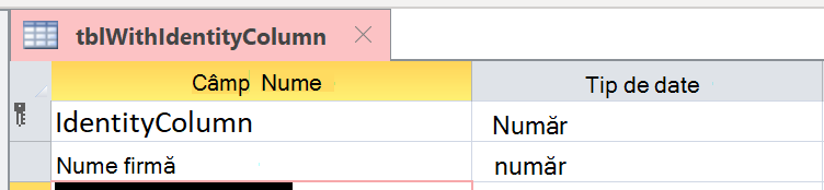 Coloana identitate nu este identificată corect ca Numerotare automată