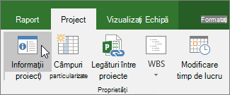 Informații proiect