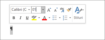 Setarea dimensiunii fontului la 1